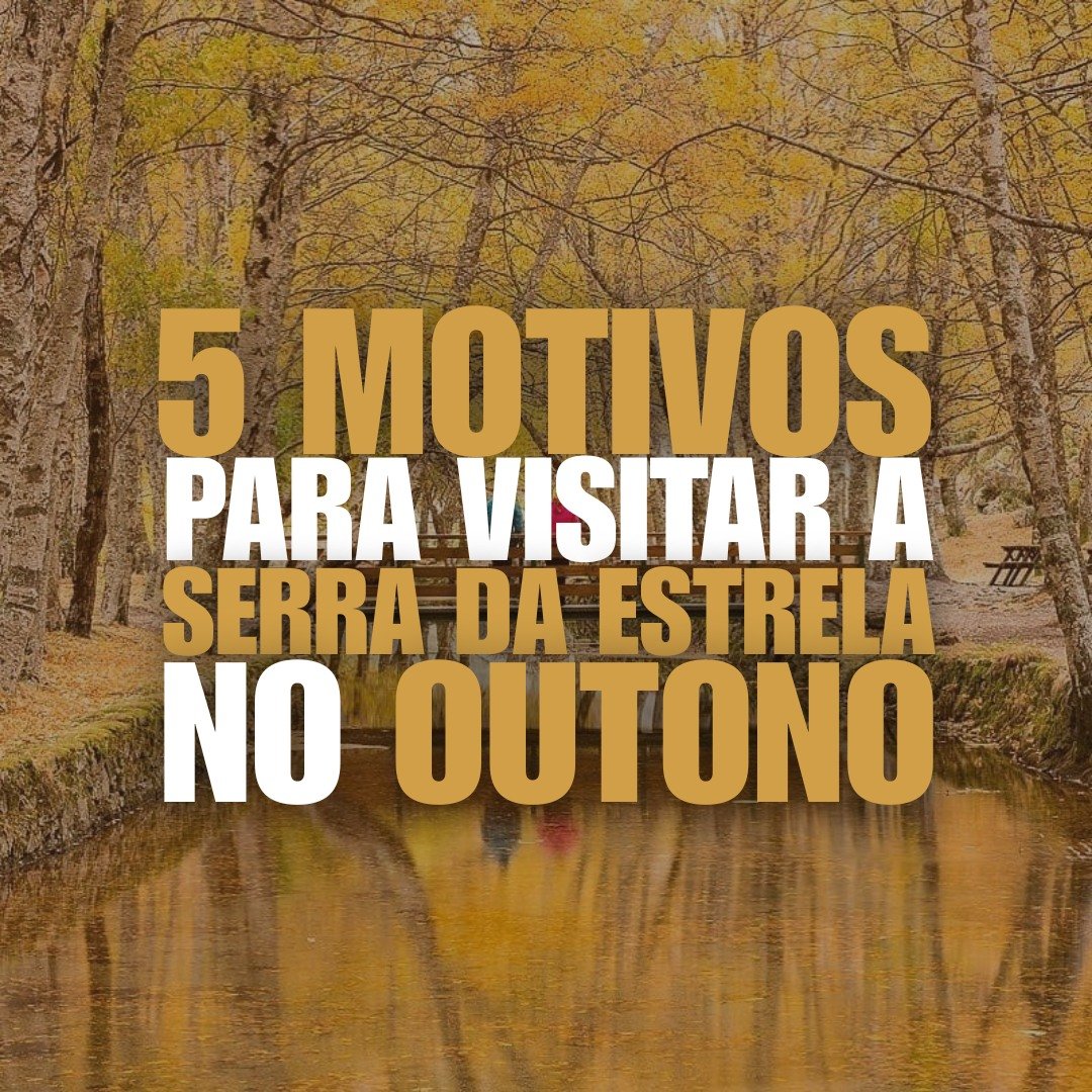5 Motivos Para Visitar a Serra da Estrela no Outono 🍂✨