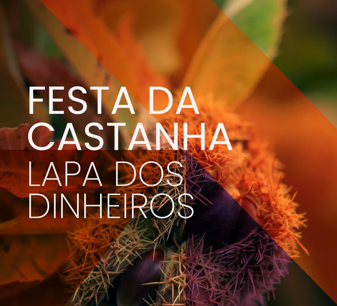 template_img_site_festas_Artboard_1_copy_12.original